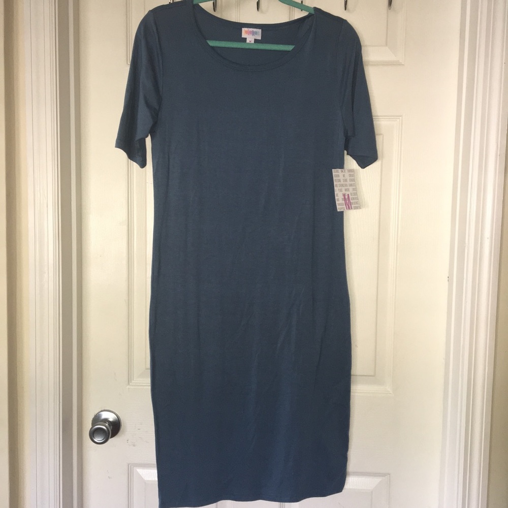 NWT LuLaRoe Julia fitted knee length dress M